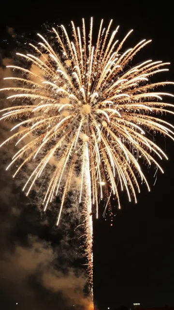 A bright golden firework bursts in a radial pattern against a dark smoky night sky