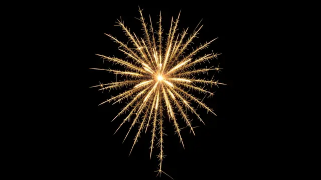 A single radiating golden firework burst with trailing sparks sits against a solid pure black background