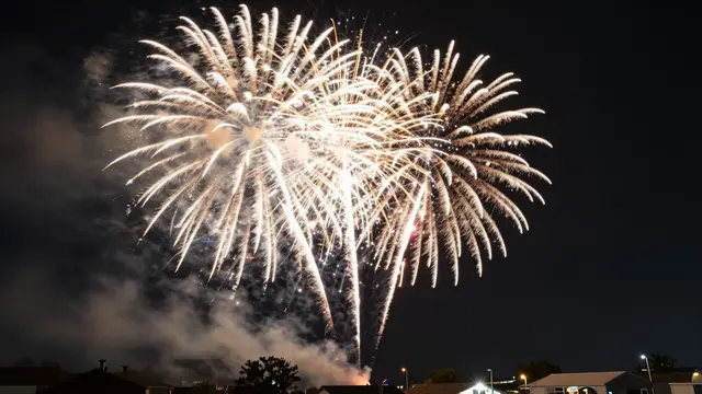 Bright golden white fireworks burst across a dark night sky above residential rooftops