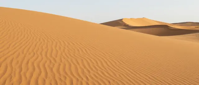 Rippled smooth sand dunes stretch under a pale sky in warm golden hour light with left-side copy space