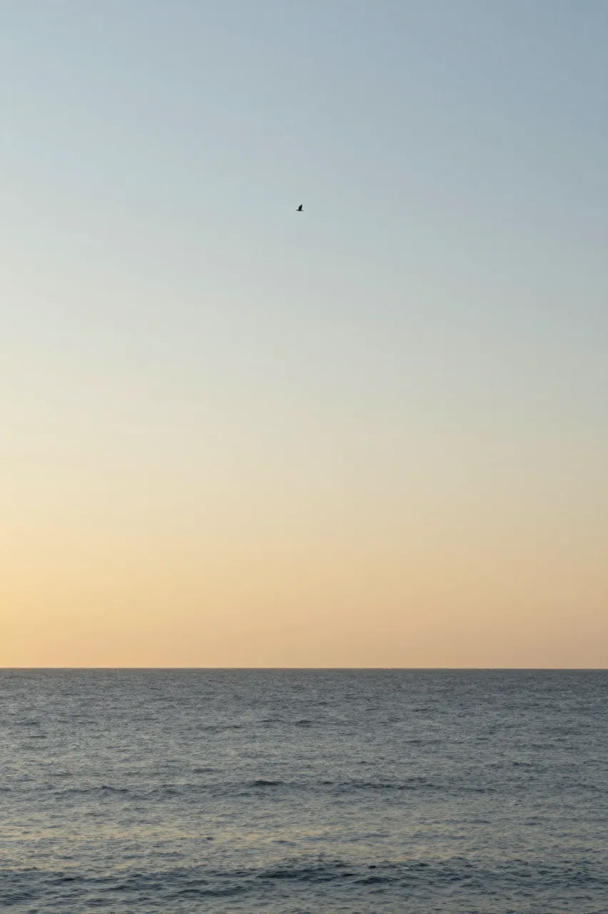 A calm sea meets a gradient golden hour sky with a single distant bird flying high above the horizon
