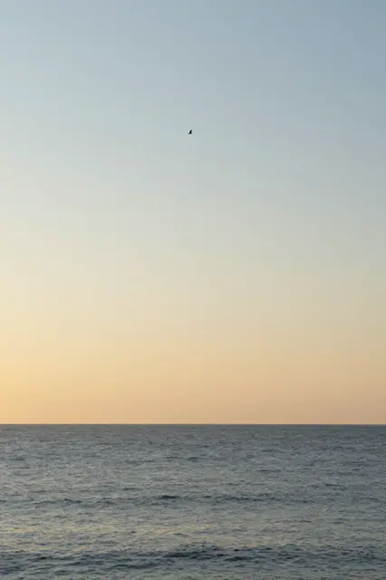 A calm sea meets a gradient golden hour sky with a single distant bird flying high above the horizon