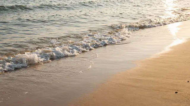 Gentle foamy ocean waves lap onto a sandy beach in warm golden hour sunlight