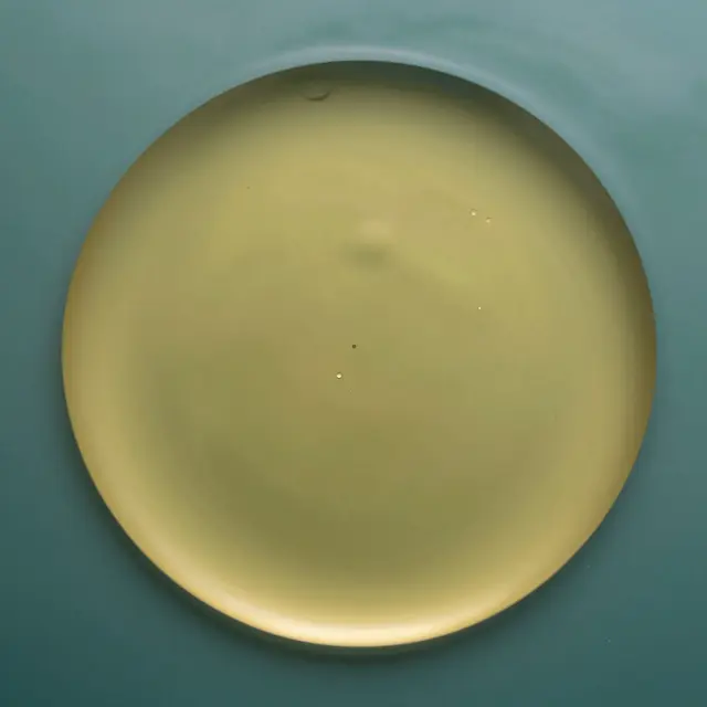 A large smooth golden oil circle floats on a calm teal water surface with tiny trapped air bubbles.