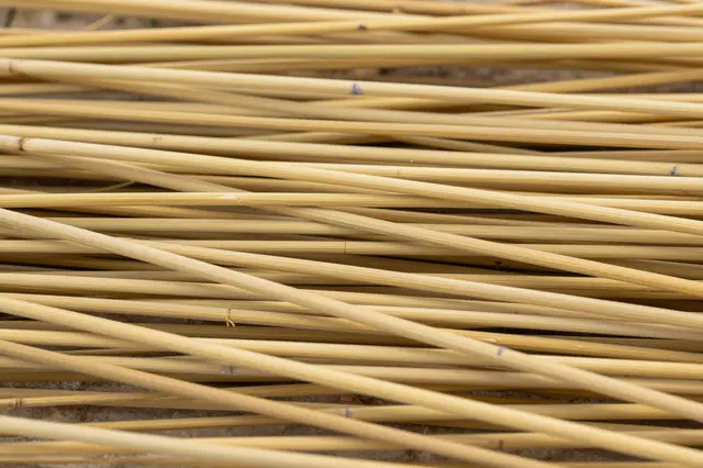 Full frame close up of crisscrossed dry golden straw stalks in a loose layered arrangement