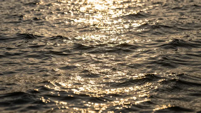 Golden sun sparkles and glints across gentle rippling dark water