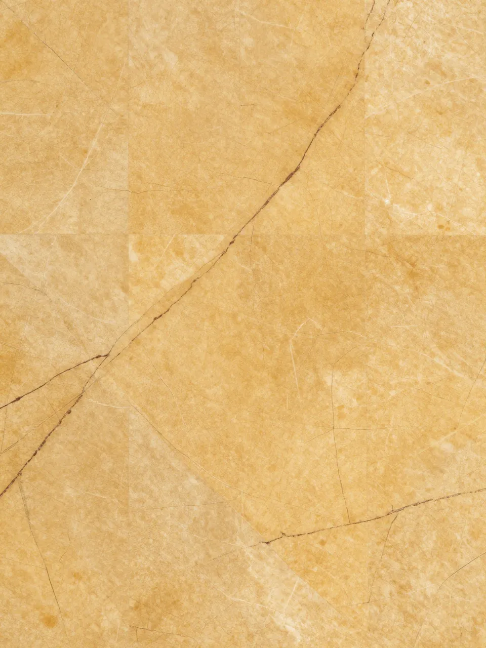 Full frame close-up of golden yellow marble with natural dark brown veining under flat even lighting