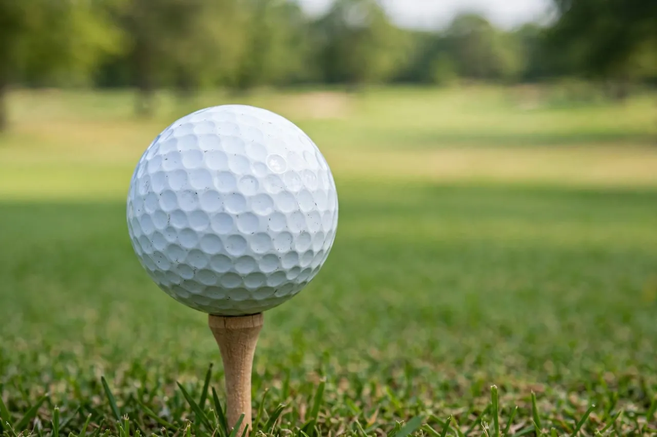 A dimpled white golf ball rests on a wooden tee above grass with a blurred golf course fairway behind.