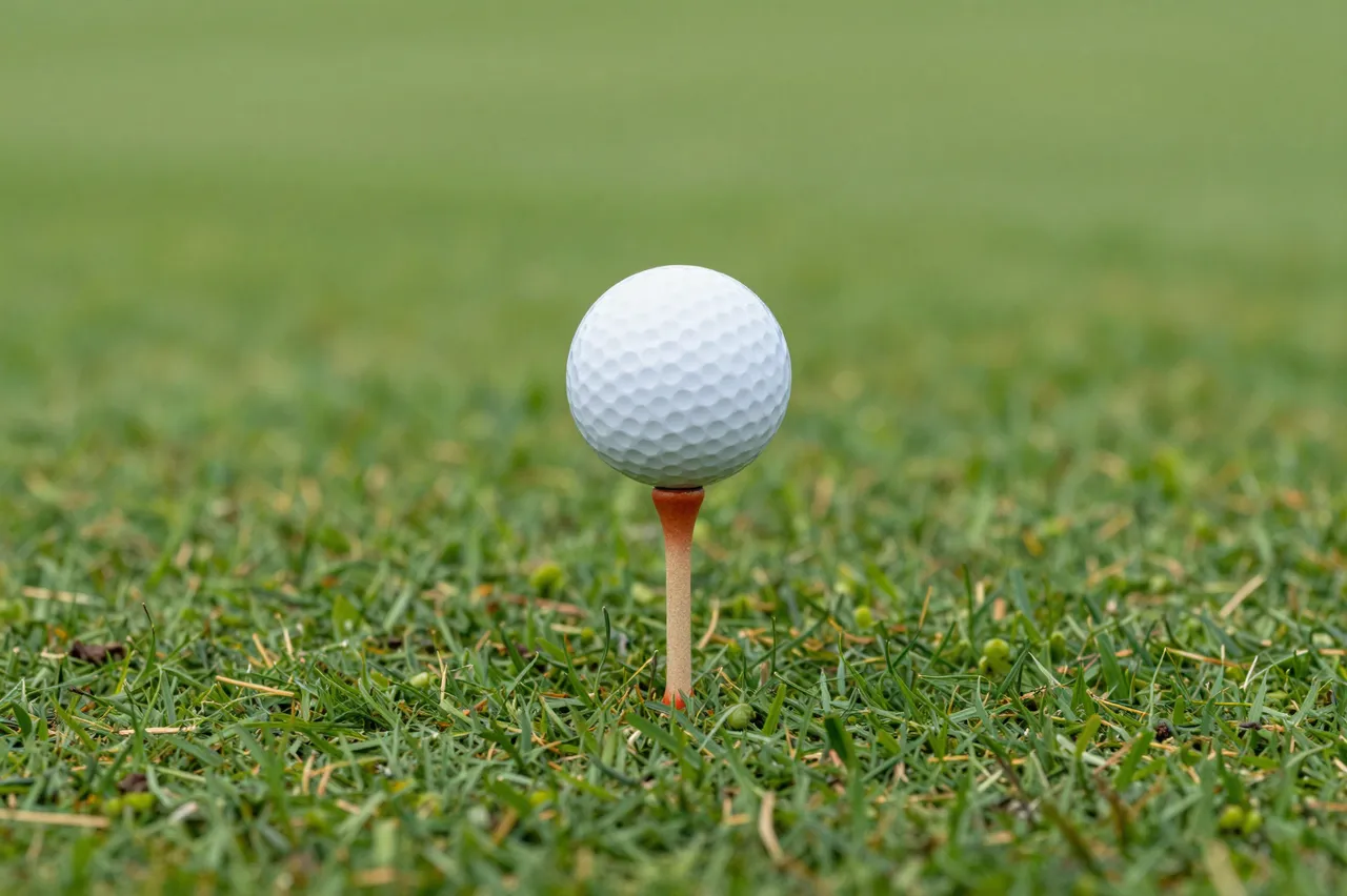 A white dimpled golf ball rests on a wooden tee inserted into grassy golf course turf