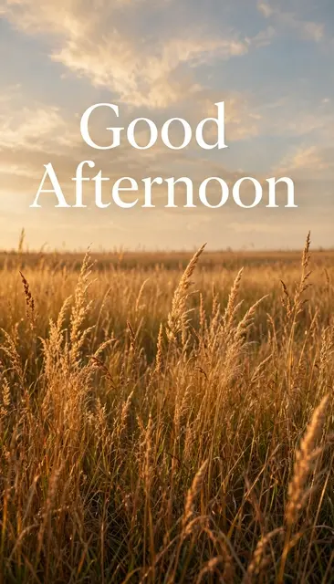 "Good Afternoon" serif text over a field of tall golden grass under warm golden hour skies