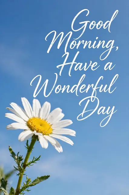 White daisy against a clear blue sky with white script text reading "Good Morning, Have a Wonderful Day"