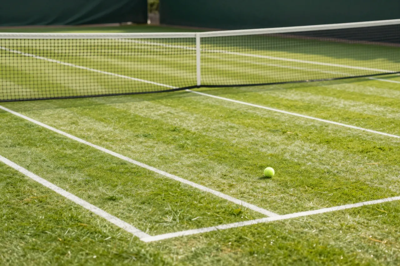 A tennis ball rests on a marked grass tennis court next to the net in soft morning sunlight