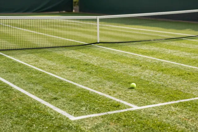 A tennis ball rests on a marked grass tennis court next to the net in soft morning sunlight