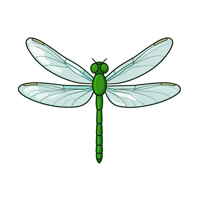 Flat cartoon illustration of a green dragonfly with four clear wings isolated on a plain white background
