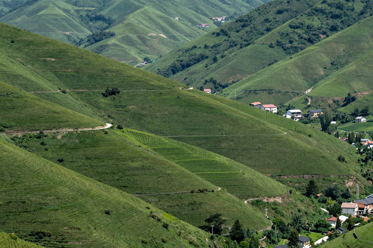 Rolling green terraced valley slopes dotted with scattered farmhouses and winding rural roads under bright daylight