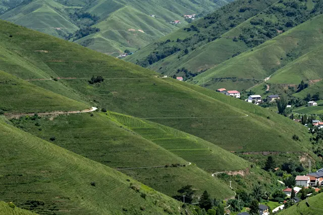 Rolling green terraced valley slopes dotted with scattered farmhouses and winding rural roads under bright daylight