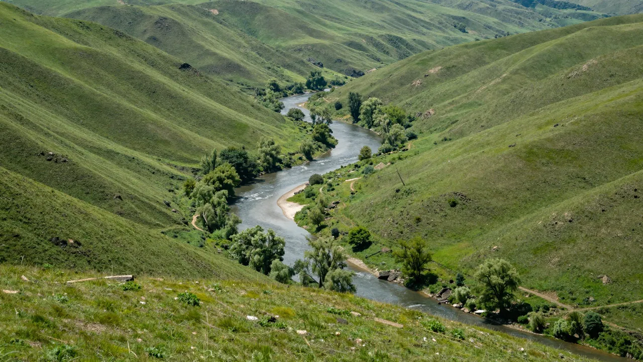A hilltop view of a wide rolling green valley with a winding river and scattered trees along its banks