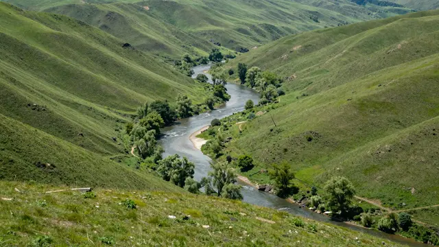 A hilltop view of a wide rolling green valley with a winding river and scattered trees along its banks
