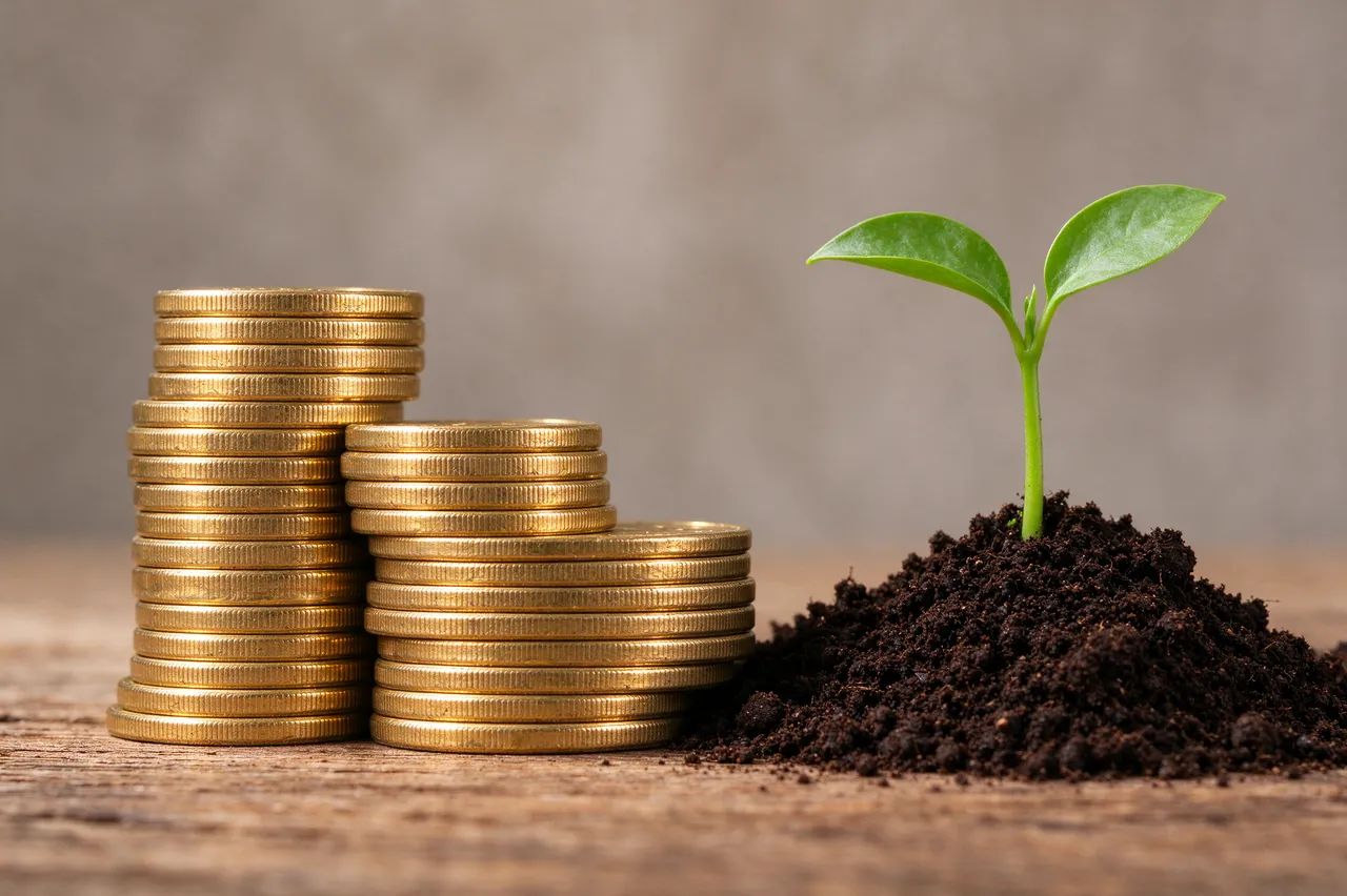 Stacked gold coins sit beside a seedling sprouting from soil on a wooden surface