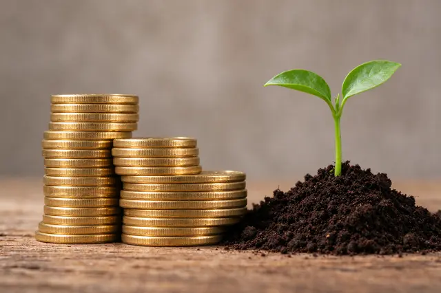 Stacked gold coins sit beside a seedling sprouting from soil on a wooden surface