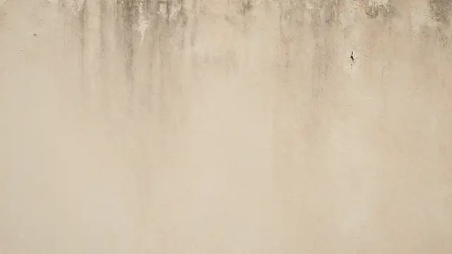 A full frame view of an aged beige plaster wall with streaky discoloration and worn peeling top edge