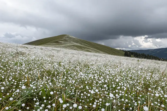 An alpine meadow dotted with white hailstones stretches toward a rounded hill under lifting dark storm clouds