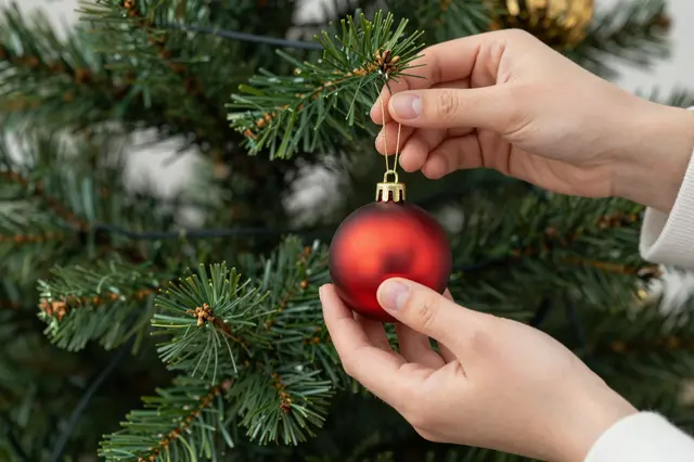 A person hangs a matte red bauble ornament on the branches of a green Christmas tree