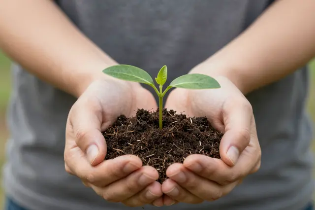 Cupped hands hold dark soil supporting a small young green seedling.