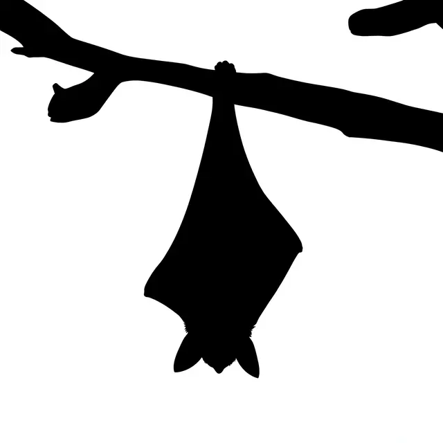 Solid black silhouette of a bat hanging upside down from a tree branch against a plain white background