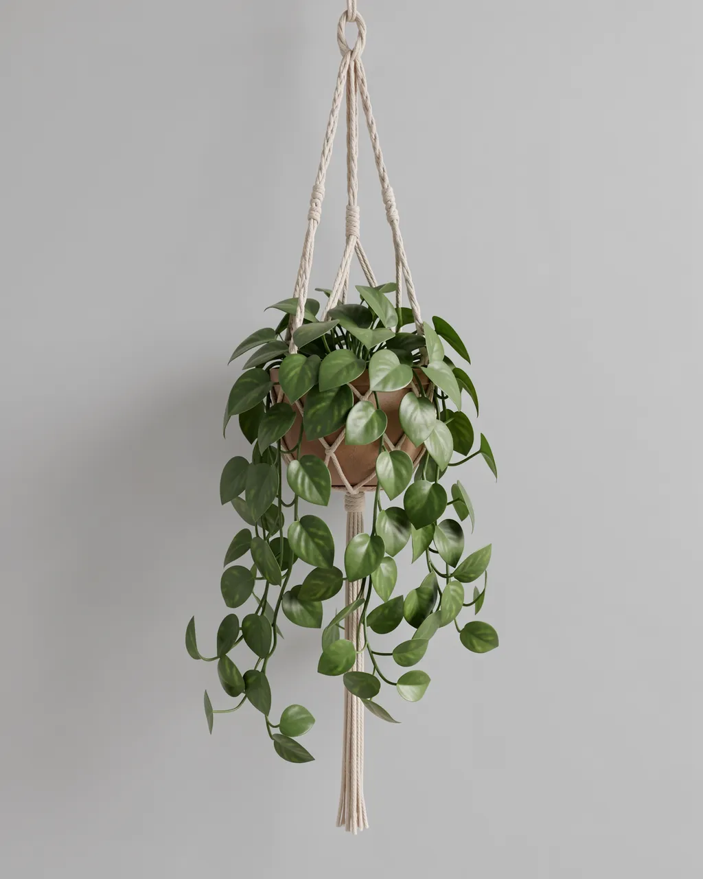 A trailing pothos plant hangs from a macrame plant hanger against a plain light gray wall