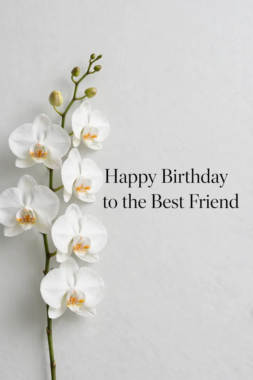 "Happy Birthday to the Best Friend" serif text next to a white orchid stem on a pale grey background