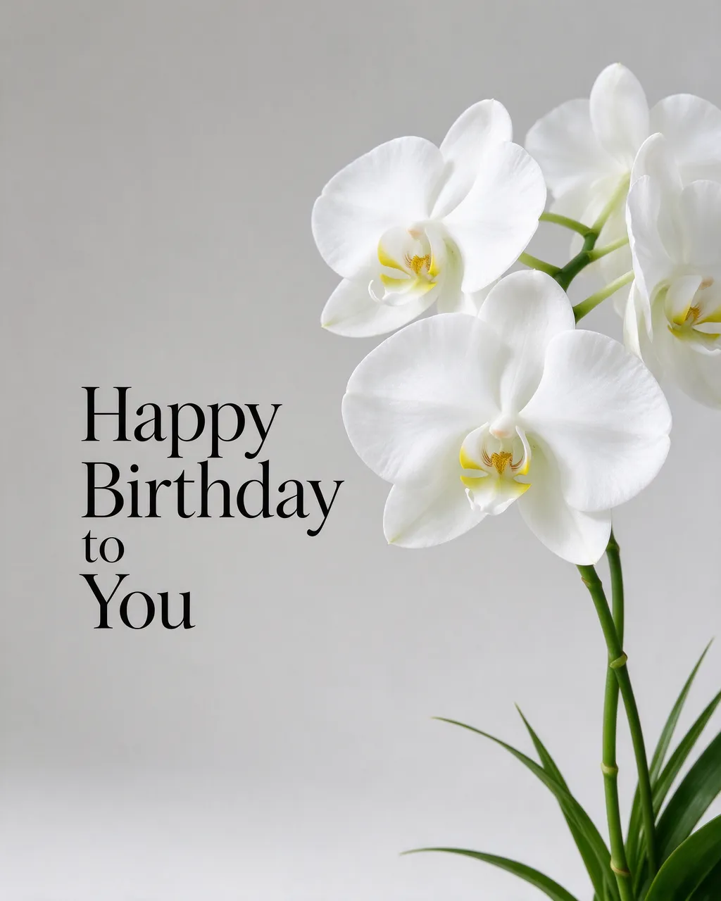 "Happy Birthday to You" in elegant black serif type beside a white phalaenopsis orchid stem on a pale grey background