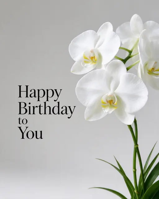"Happy Birthday to You" in elegant black serif type beside a white phalaenopsis orchid stem on a pale grey background