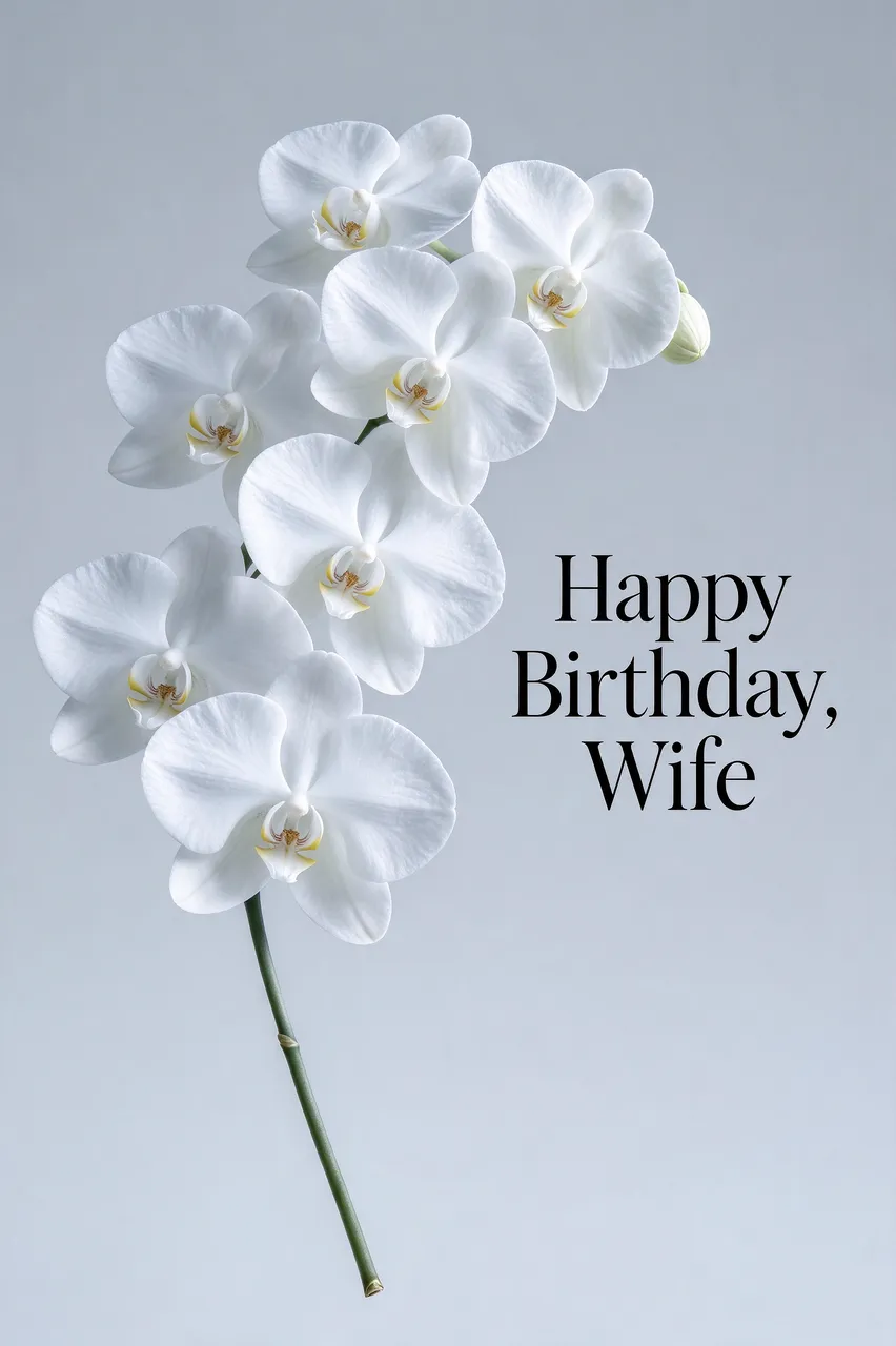 "Happy Birthday, Wife" in elegant black serif type beside a white phalaenopsis orchid stem on a pale grey background