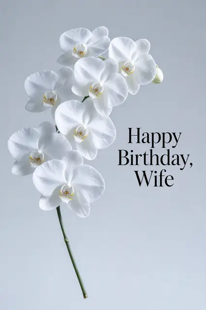 "Happy Birthday, Wife" in elegant black serif type beside a white phalaenopsis orchid stem on a pale grey background