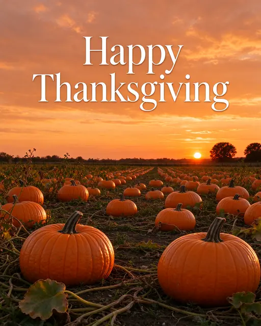 Warm golden sunset over a pumpkin field with white serif text reading "Happy Thanksgiving"
