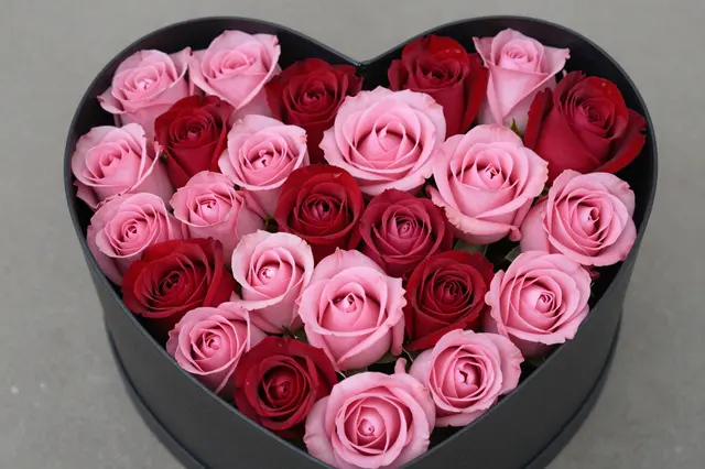 Top down view of pink and red roses packed tightly into a black heart shaped gift box on a neutral gray surface