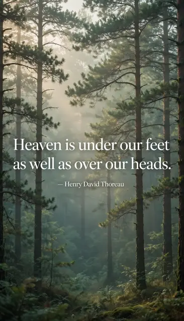Vertical misty morning pine forest wallpaper displaying the quote "Heaven is under our feet as well as over our heads.