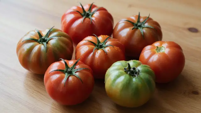 Multi-colored heirloom tomatoes with water droplets rest clustered on a light wooden table surface