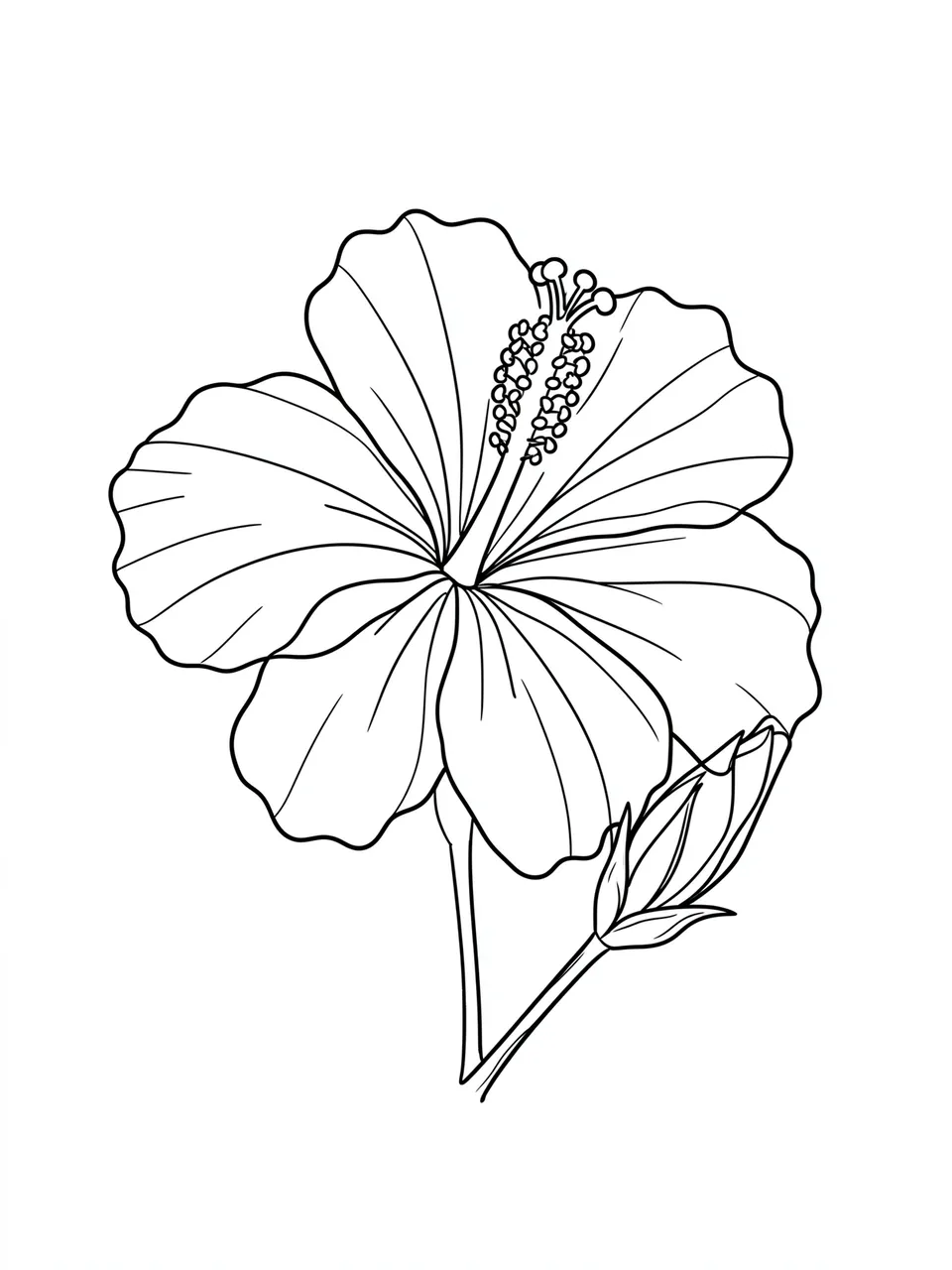 Black line art of an open hibiscus flower and bud centered on a plain white background