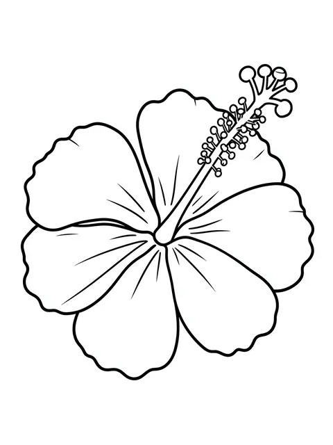 Bold black and white line art of a hibiscus flower with a long stamen on a plain white background