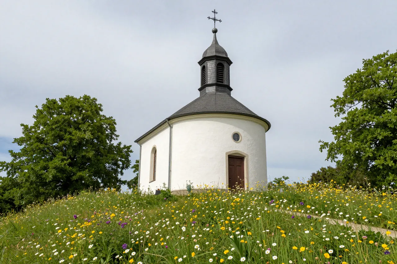 A small white chapel with a slate steeple stands on a hill surrounded by wildflowers and leafy trees under an overcast sky