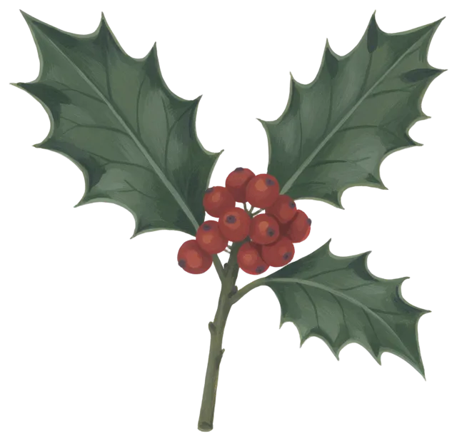 Hand-painted gouache illustration of a holly sprig with three green leaves and red berries