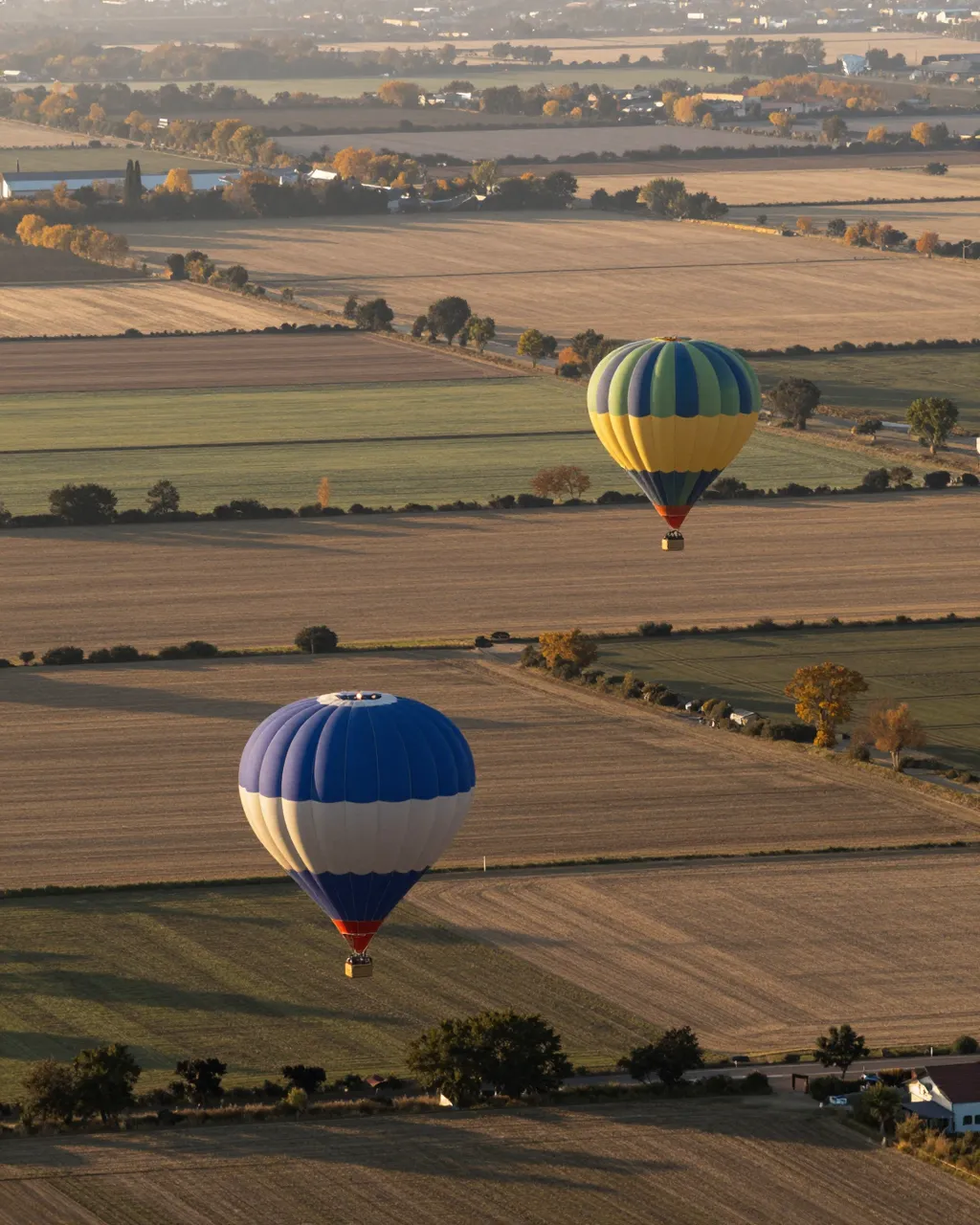 Two hot air balloons drift low over patchwork autumn farm fields during golden sunrise