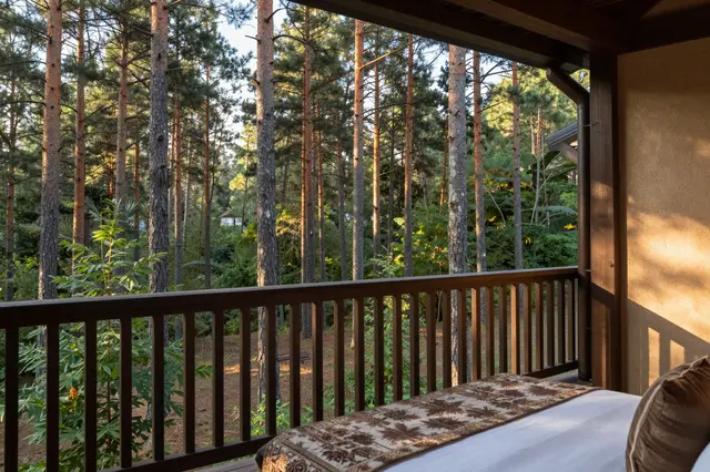 View from a hotel room balcony looking out over a tall pine forest at golden sunrise
