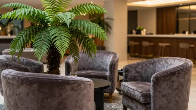 Warm evening lit hotel lobby with plush velvet armchairs and a large fern plant.