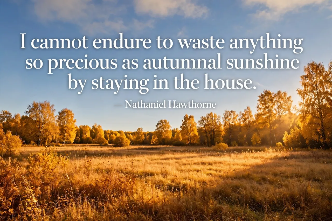 Warm golden autumn sunlight falls across a meadow of golden trees with the quote "I cannot endure to waste anything so