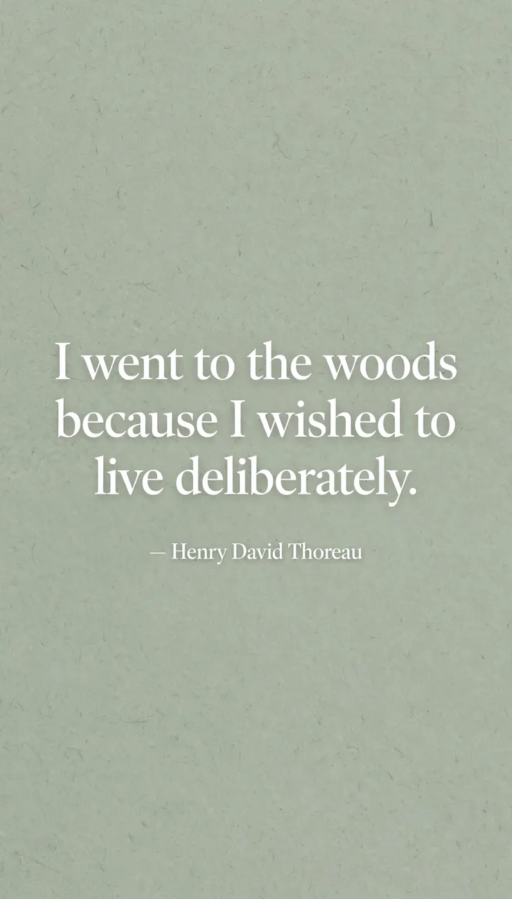 Minimalist phone wallpaper with soft sage green grainy background displaying the quote "I went to the woods because I wished