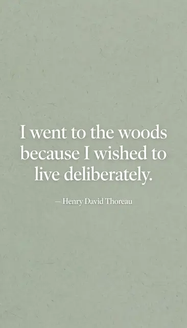 Minimalist phone wallpaper with soft sage green grainy background displaying the quote "I went to the woods because I wished
