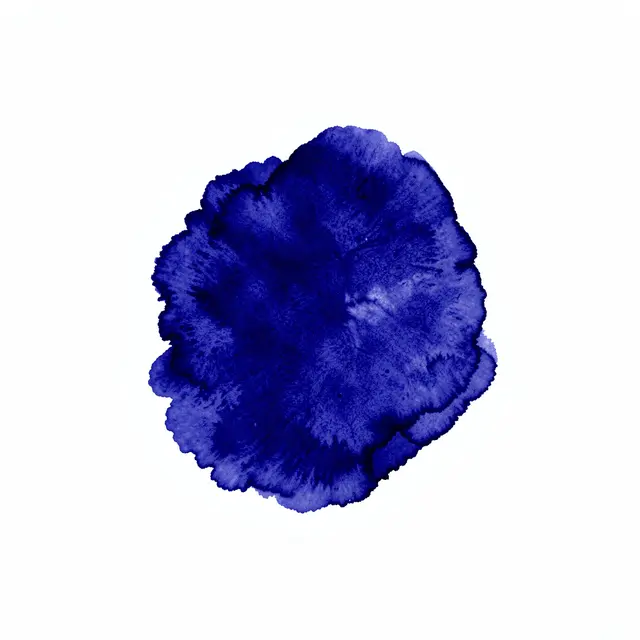 A textured, rounded deep indigo ink blot rests against a plain white background